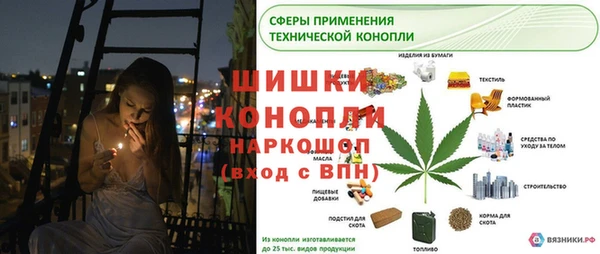 СК Алексин