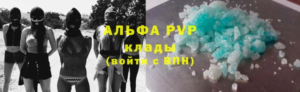 СК Алексин