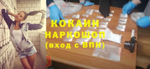 СК Алексин
