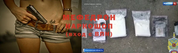 СК Алексин