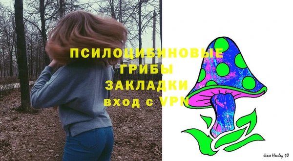 дурь Алзамай