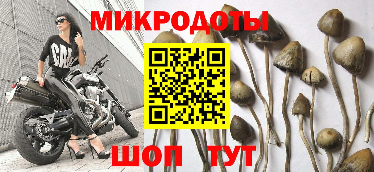 Галлюциногенные грибы прущие грибы Лянтор